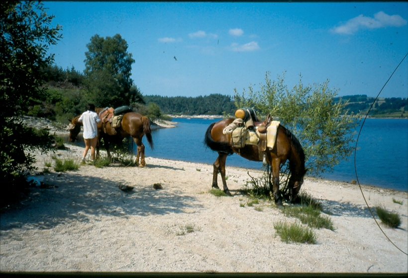 Au bord de l'eau 1