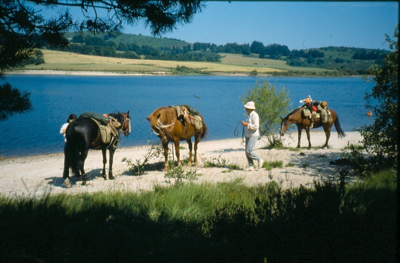 Au bord de l'eau 2