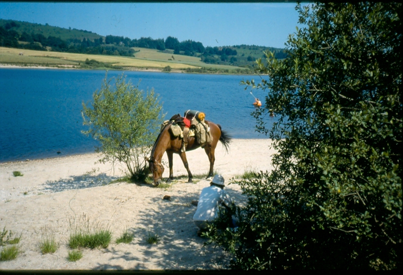 Au bord de l'eau 3